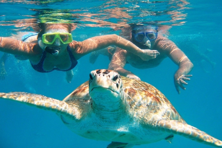 Oahu: Excursión circular guiada de 16 puntos con snorkel y DolePasajero