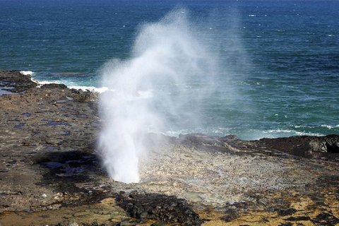 Oahu: Excursión circular guiada de 16 puntos con snorkel y DolePasajero