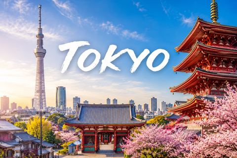 Tokyo: Private Luxury Day Tour with Hotel Pickup and DropOff