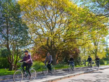 Victoria: 2-stündige Radtour zu Geschichte und Höhepunkten Victoria: 2-stündige Radtour zu Geschichte und Höhepunkten