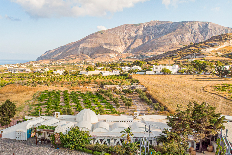 Santorini: tour con cata de vino y atardecer en OiaTour grupal en inglés