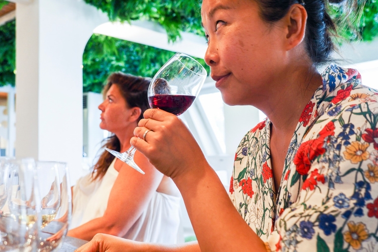 Santorin: Highlights, Weinprobe & Sonnenuntergang in OiaGruppentour auf Englisch