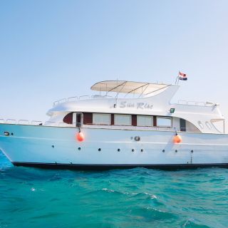 Red Sea: Snorkeling, Diving, Island, Watersport, and Fishing