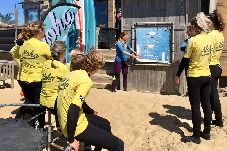 Scheveningen Aulas de surf de dia inteiro com almoço