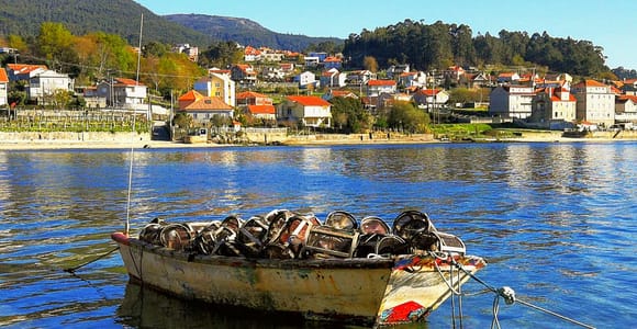 Von Santiago aus: Rías Baixas Galicia Meeresfrüchte & Wein Tagestour