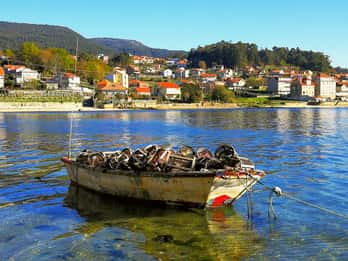 From Santiago: Rías Baixas Galicia Seafood & Wine Day Tour