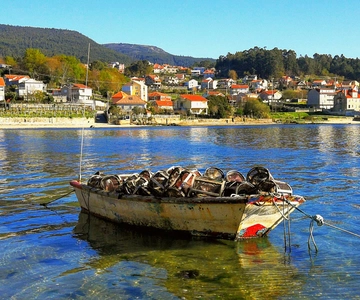 From Santiago: Rías Baixas Galicia Seafood & Wine Day Tour