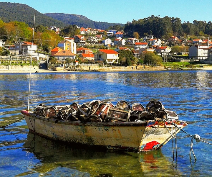 Из Сантьяго: Rías Baixas Galicia Seafood & Wine Day Tour