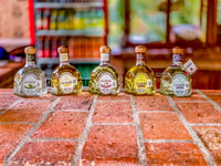 Mazatlán, Tequila Factory & Country Sightseeing - Hizvo