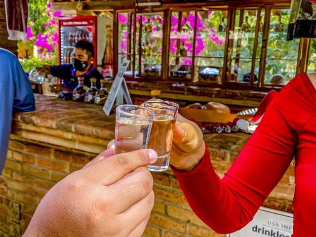 Visit Mazatlán Tequila Factory & Country Sightseeing in Mazatlán