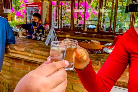 Mazatlán : Usine de Tequila et visite de la campagne