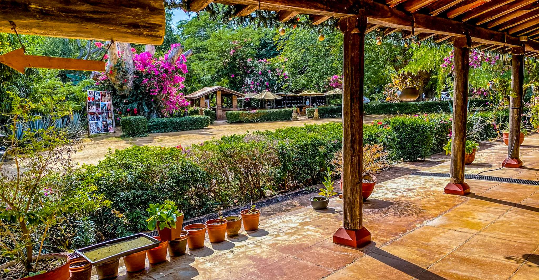 Mazatlán, Tequila Factory & Country Sehenswürdigkeiten - Hizvo