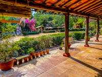 Mazatlán, Tequila Factory & Country Sightseeing - Hizvo