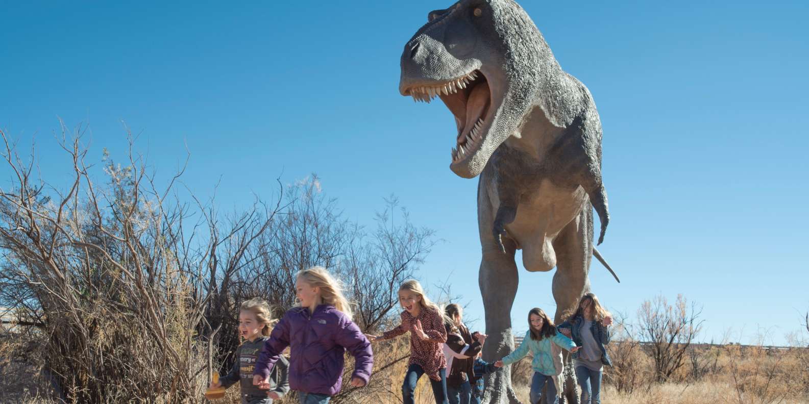 Tyrannosaurus Rex – Moab Giants