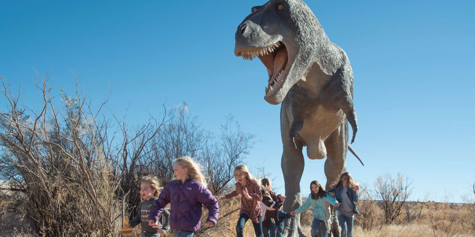 Tyrannosaurus Rex – Moab Giants