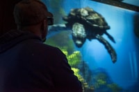 Moab, Moab Giants Dinosaur Park y boleto de entrada al museo - Housity