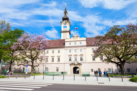 Linz: visita guiada privada a las iglesias y el casco antiguo3 horas: tour privado de las 4 iglesias y el casco antiguo