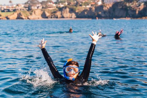 La Jolla: Guided Snorkeling Tour