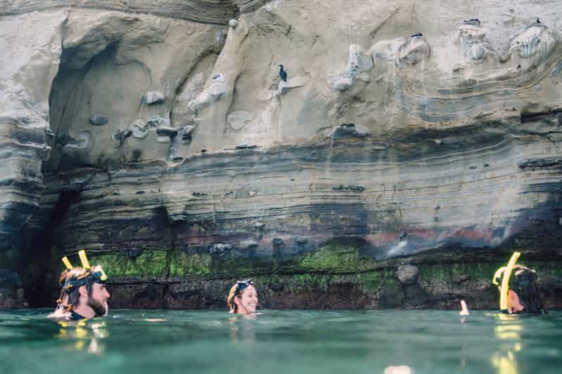La Jolla: Guided Snorkeling Tour