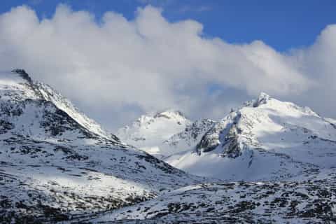 Skagway: Sea and Sky Scenic Tour