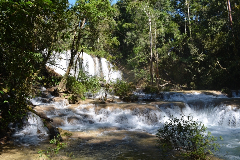 Vanuit Palenque: raften en hiken in de Lacandónjungle
