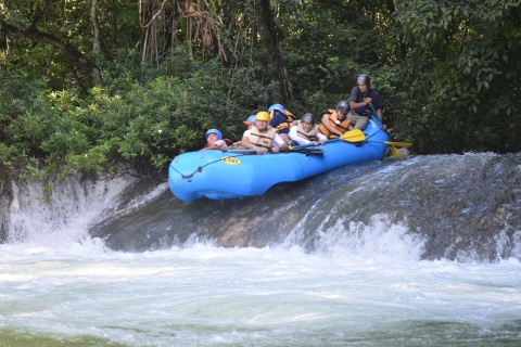 Circuit dans la jungle lacandone depuis Palenque : rafting et randonnée pédestre