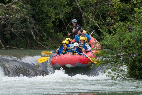 Ab Palenque: Dschungeltour mit Wandern & Rafting in LacandonLacandon Jungle Tour von Palenque: River Rafting und Wandern