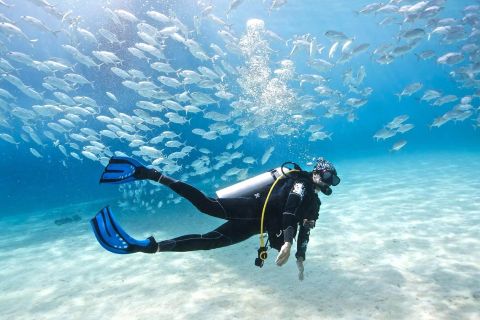 Hurghada: Full-Day Diving Cruise Tour in 2 Dive Site & Lunch