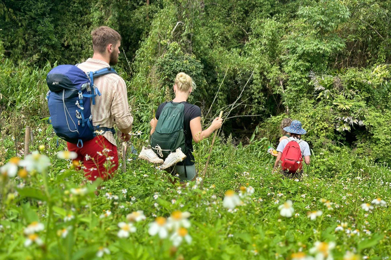 Chiang Mai: 1-Day Jungle Trekking in the Doi Inthanon Area