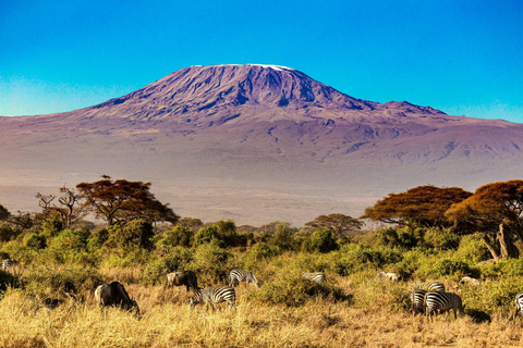 Aventura Expedição de 8 dias ao Kilimanjaro e Chemka Hot Spring