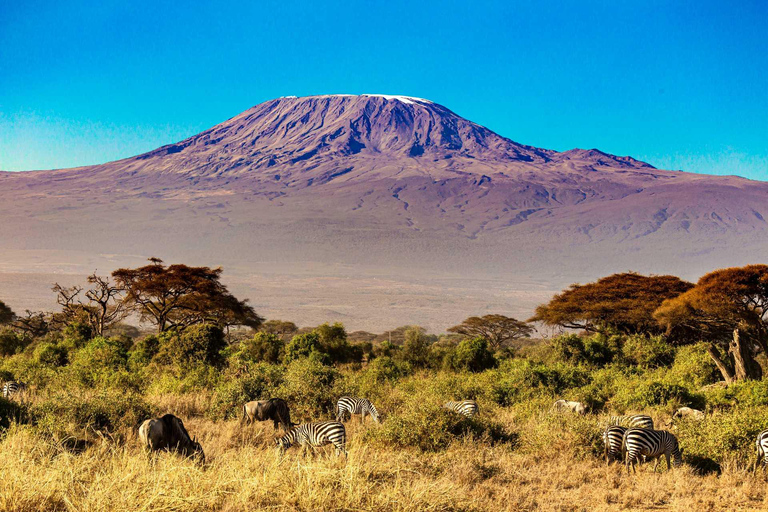 Avontuur 8-daagse Kilimanjaro Expeditie en Chemka Hot Spring