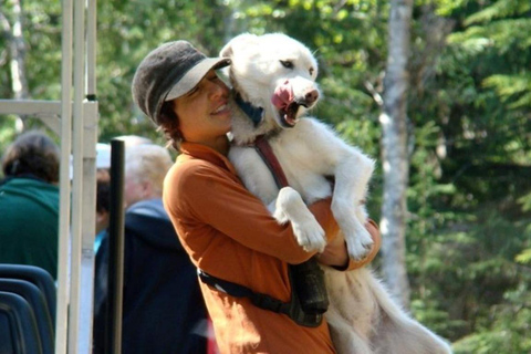 Skagway, Alaska: Musher's Camp® Dog Sled Adventure Skagway: Musher's Camp Dog Sled Adventure
