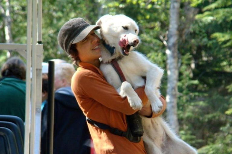 Skagway, Alaska: Musher's Camp® Dog Sled Adventure Skagway: Musher's Camp Dog Sled Adventure