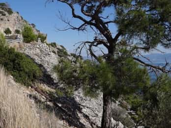 From Samos: Half-Day Kasonisi Boat Trip