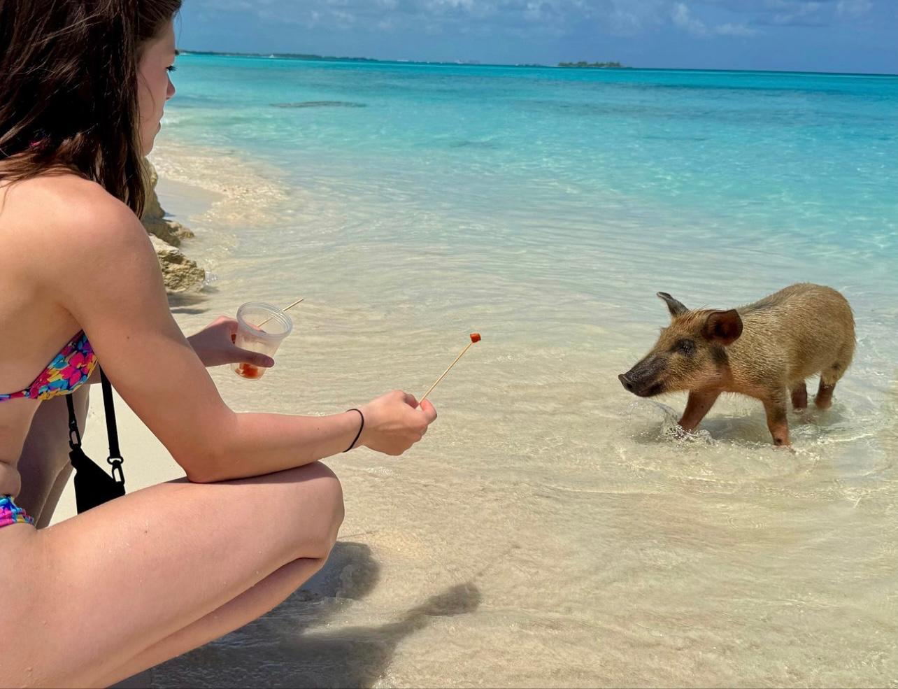 Schwimmende Schweine mit bevorzugtem Einlass: Ultimativer Ausflug nach Rose Island
