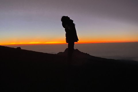 From Arusha: 5-Day Family Safari Adventure in Tanzania