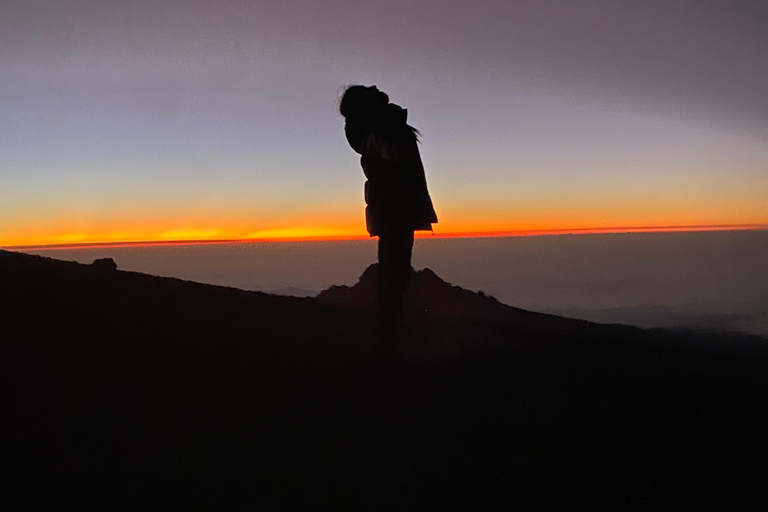 From Arusha: 5-Day Family Safari Adventure in Tanzania