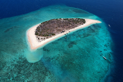 Banyuwangi: Deer and Tabuhan Island Snorkeling 12 Hours Trip