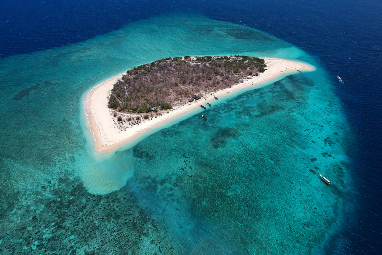 Banyuwangi: Deer and Tabuhan Island Snorkeling 12 Hours Trip