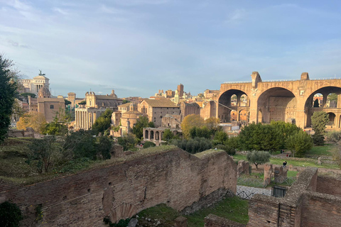Small Group Guided Tour Colosseum Roman Forum, Palatine Hill Standard Tickets