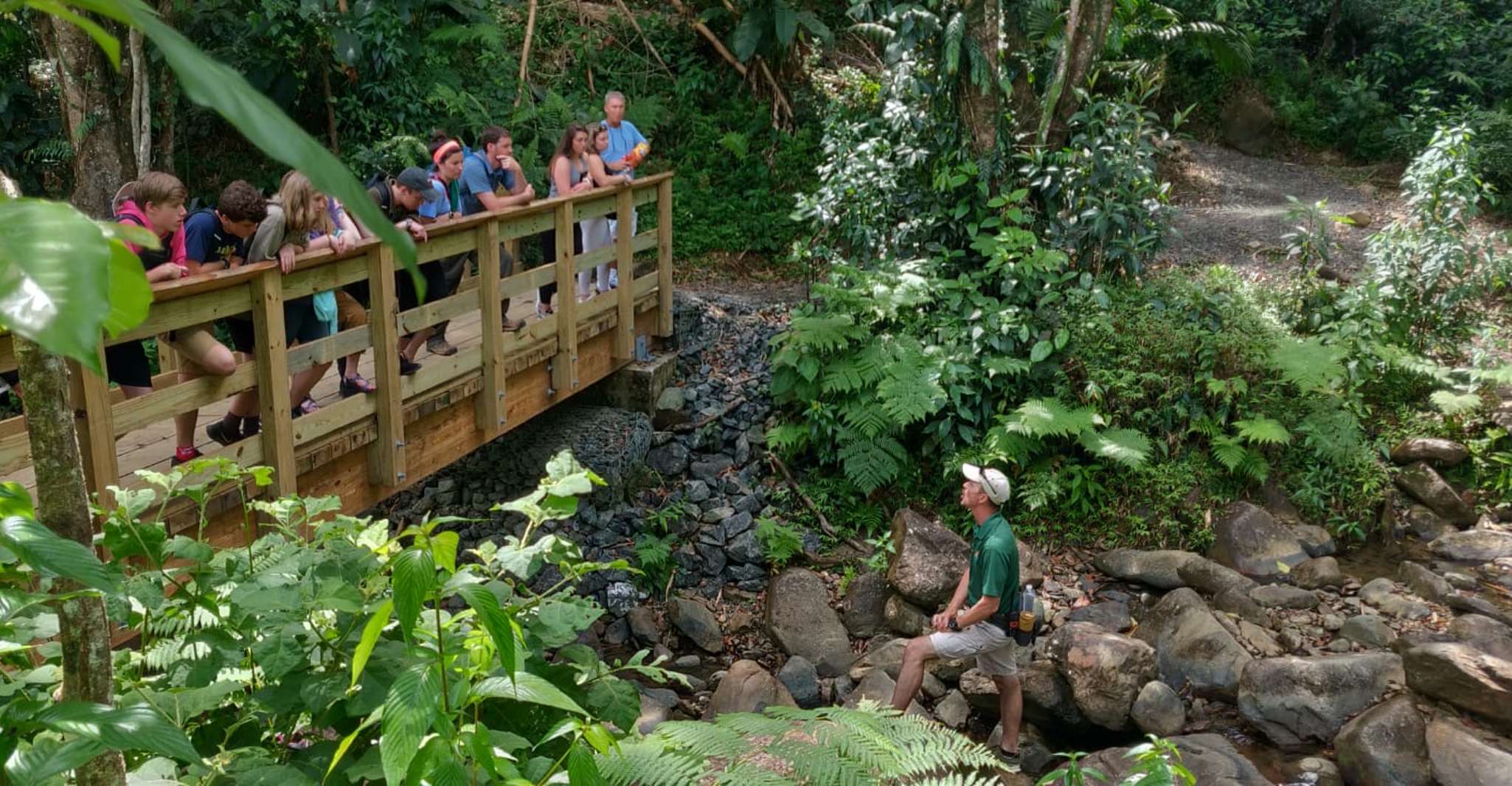 El Yunque Forest, Rainforest Nature Walk at Night Tour - Eastern region ...