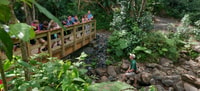 Bosque El Yunque, Selva Natural Paseo por la Noche - Hizvo