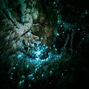 New Zealand: Starburst Cathedral in Milky Way Glowworm Cave