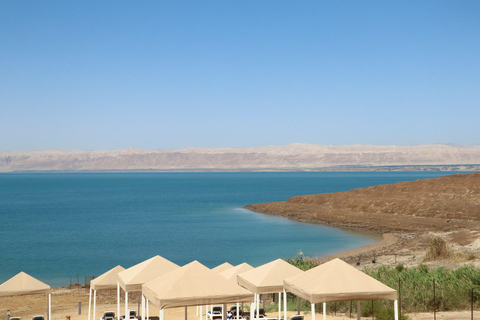 Vanuit Amman :Dode zee, de berg Nebo en de kerk van St. George .Alles inclusief