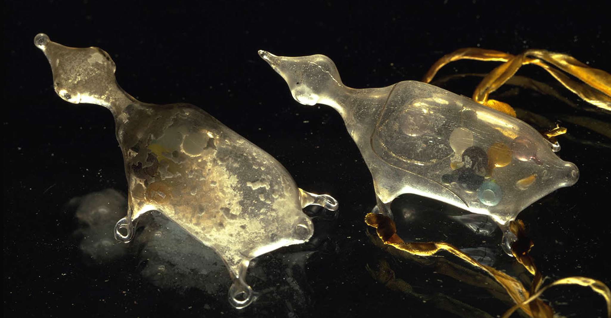Florenz, Eintrittskarte für Museo Galileo - Hizvo