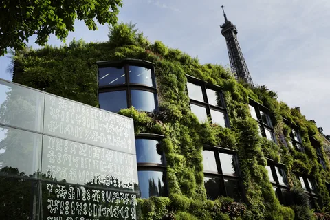 Musée du quai Branly - Jacques Chirac: Bilet wstępu