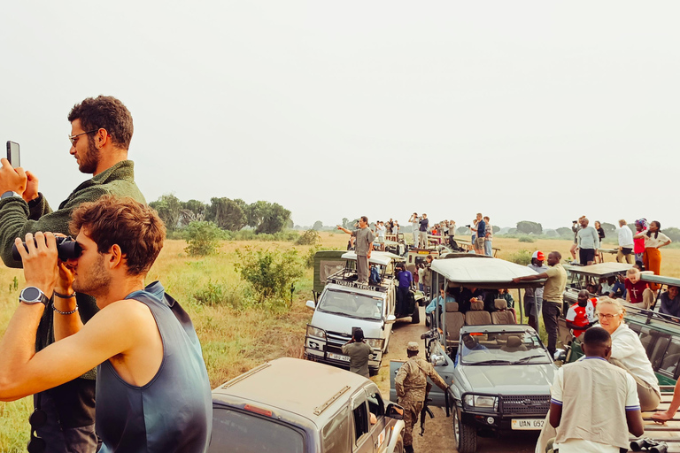 Kampala: 3-Day Queen Elizabeth National Park Safari Tour