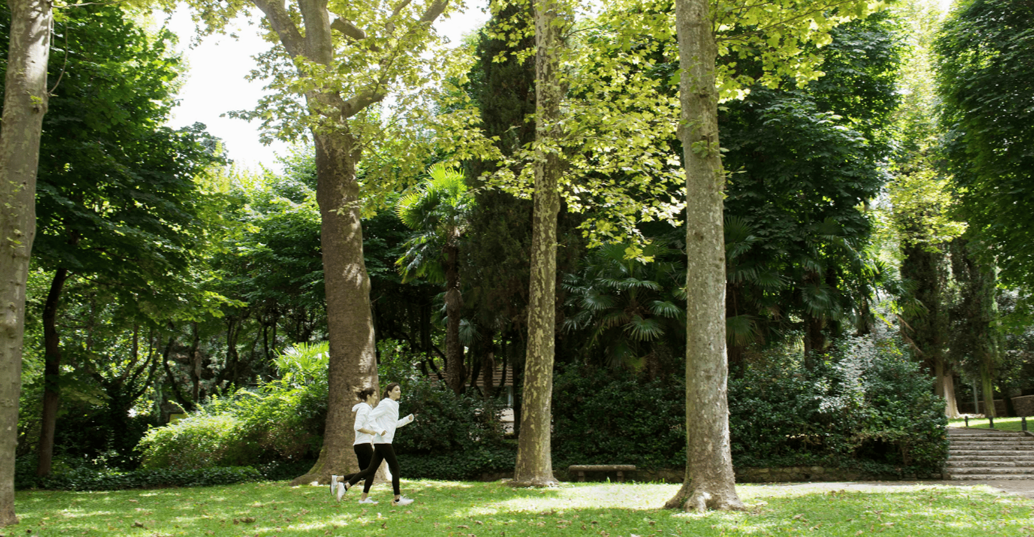 Chianciano Terme: Sensory Spa Admission Ticket photo 4