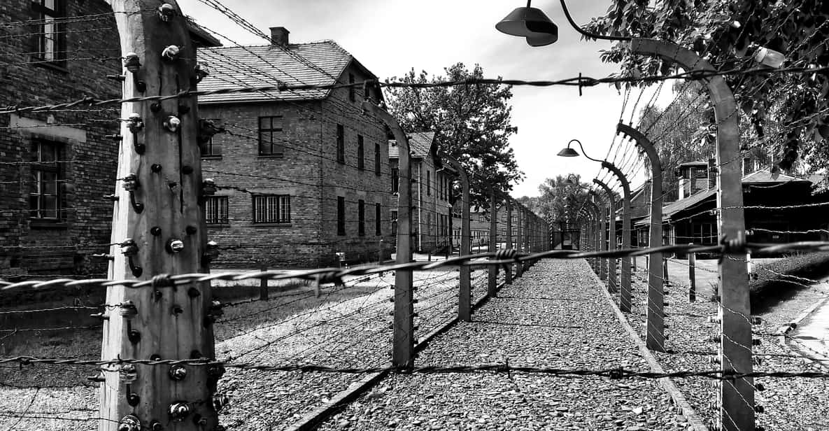 Krakow: Auschwitz-Birkenau & Labyrinth Exhibit Full-Day Tour