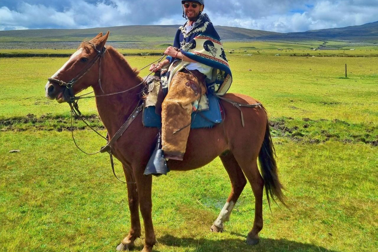 Cotopaxi: 2-Hour Horseback Riding and Limpiopungo Lagoon from Quito